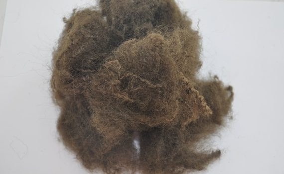 12D-55MM (BROWN) polyester elyaf