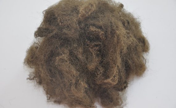 15D-55MM (BROWN) polyester elyaf