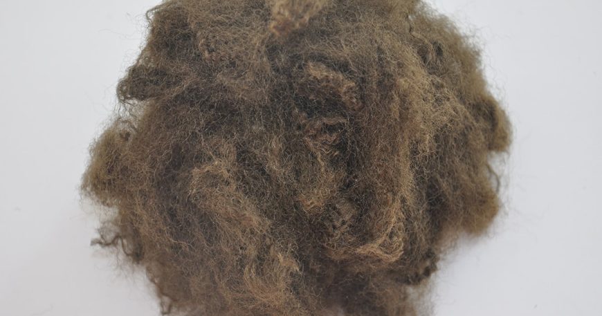 15D-55MM (BROWN) polyester elyaf