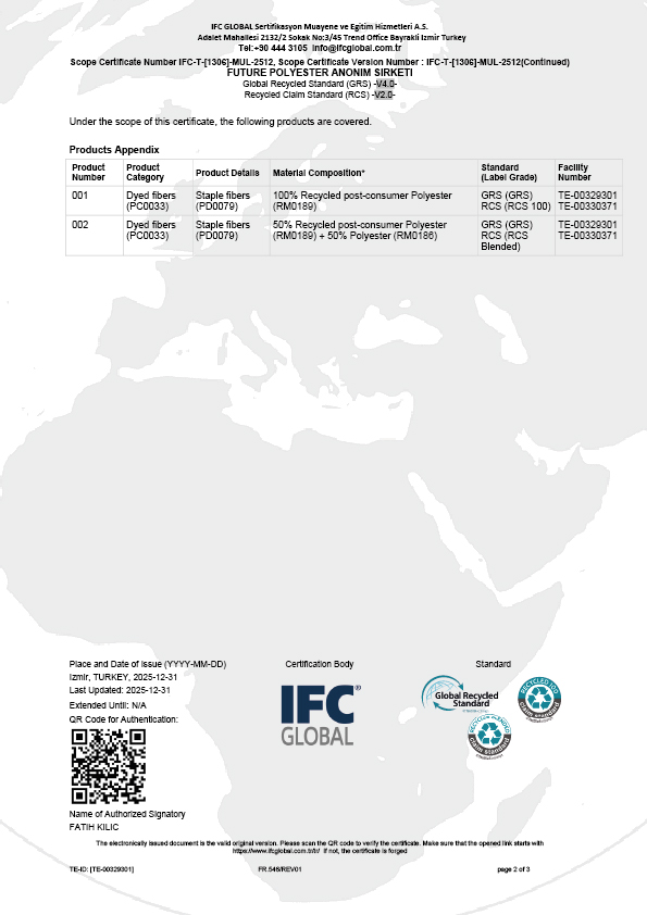 Future Scope Certificate-02